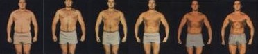 Cybertrim Pro HCG Diet Program